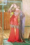 zara-hayaat-velvet-3-768×1107-1.jpg