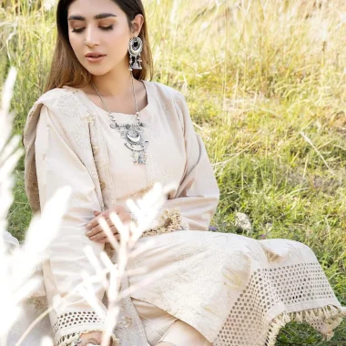 Punjabi Salwar Suit Design