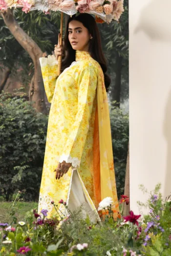 Rajbari Summer Printkari Lawn 2026 | 05